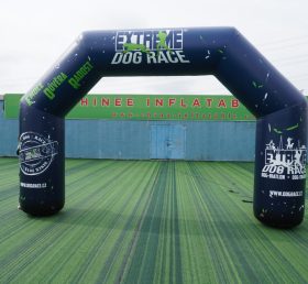 Arch2-394M Inflatable Arch